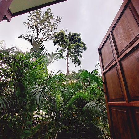 Papaya Cottage קו צ'אנג חדר תמונה